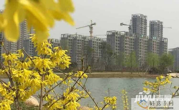 实景图
