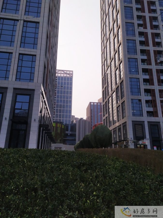 实景图
