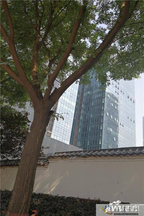 实景图
