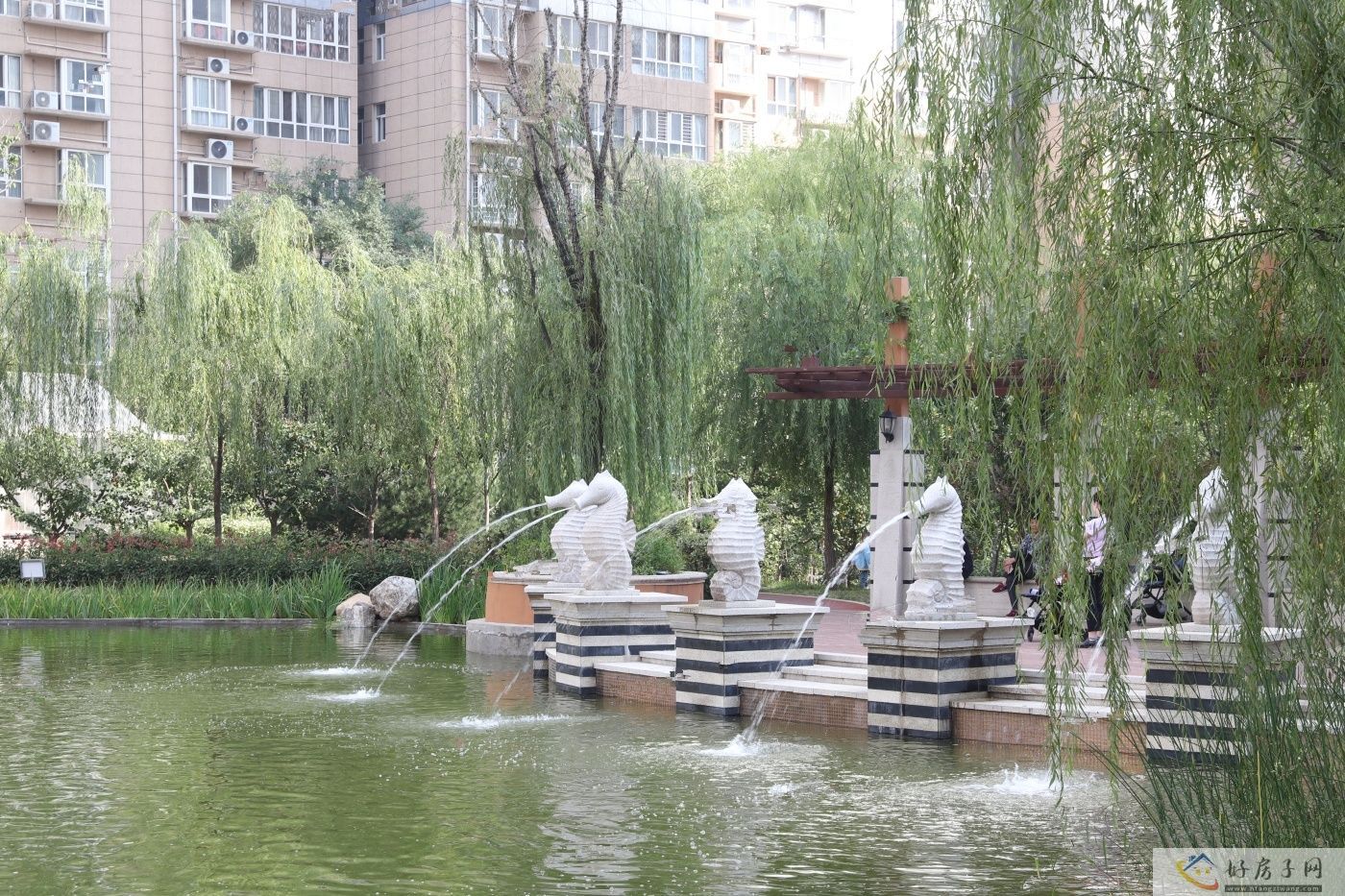 实景图