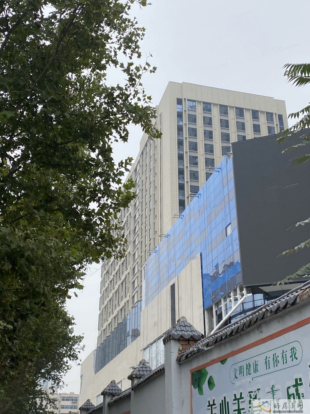 实景图