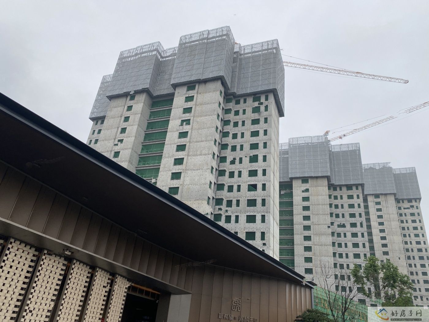 实景图