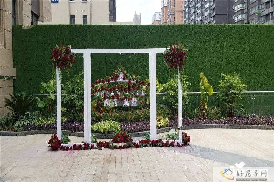 实景图