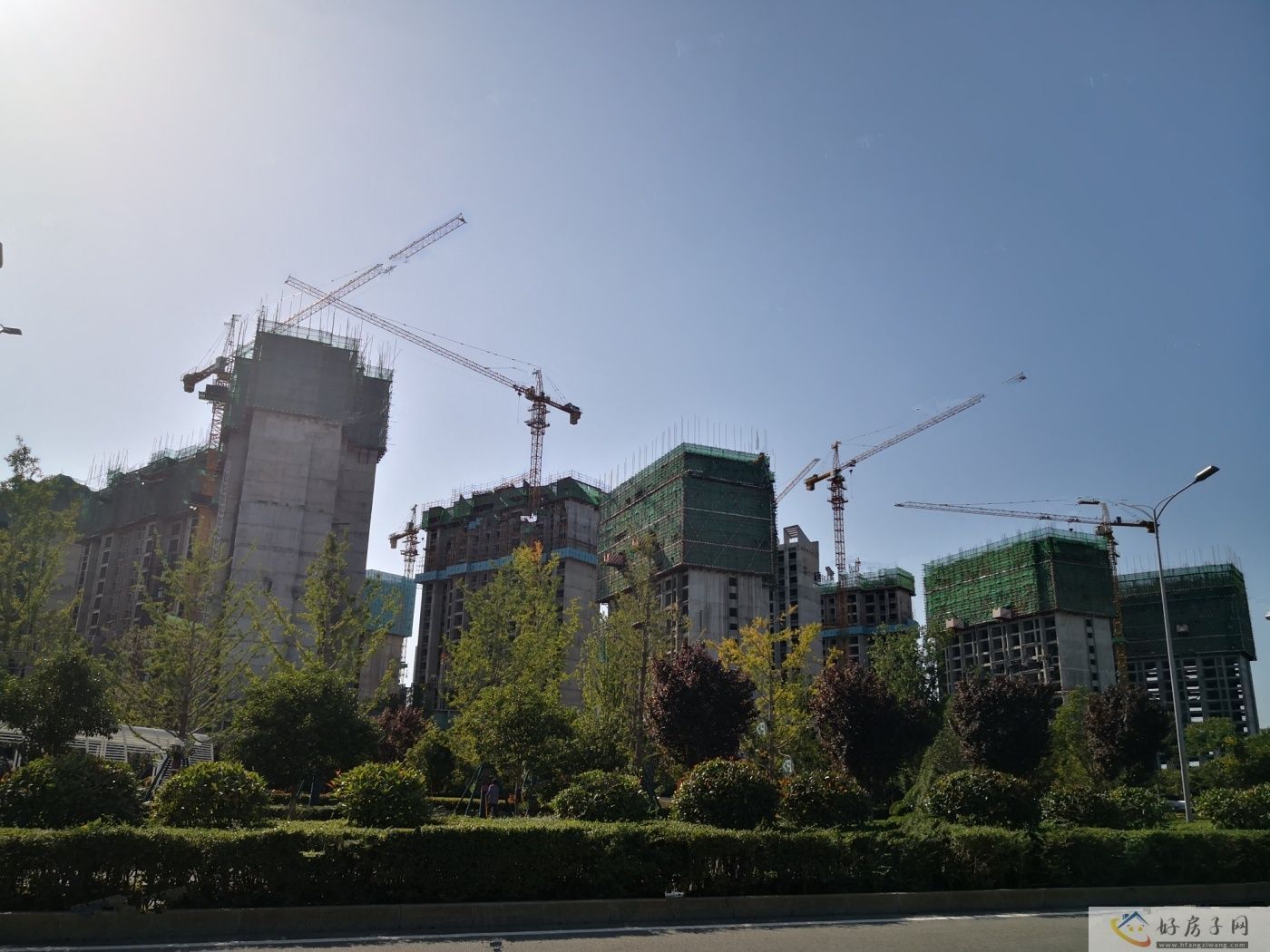 实景图