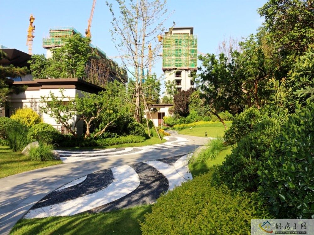 实景图