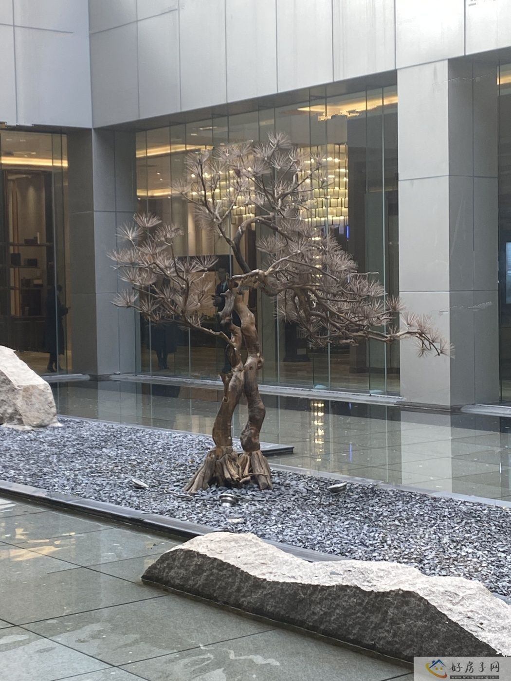 实景图