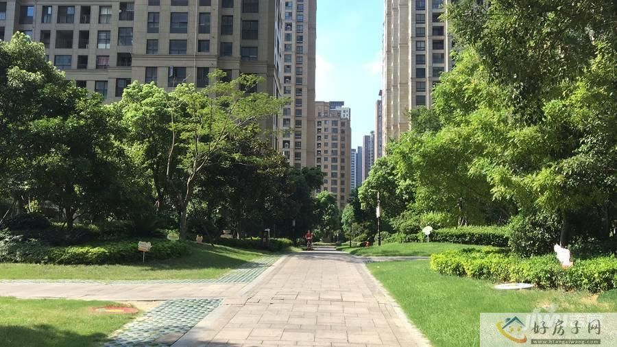 实景图