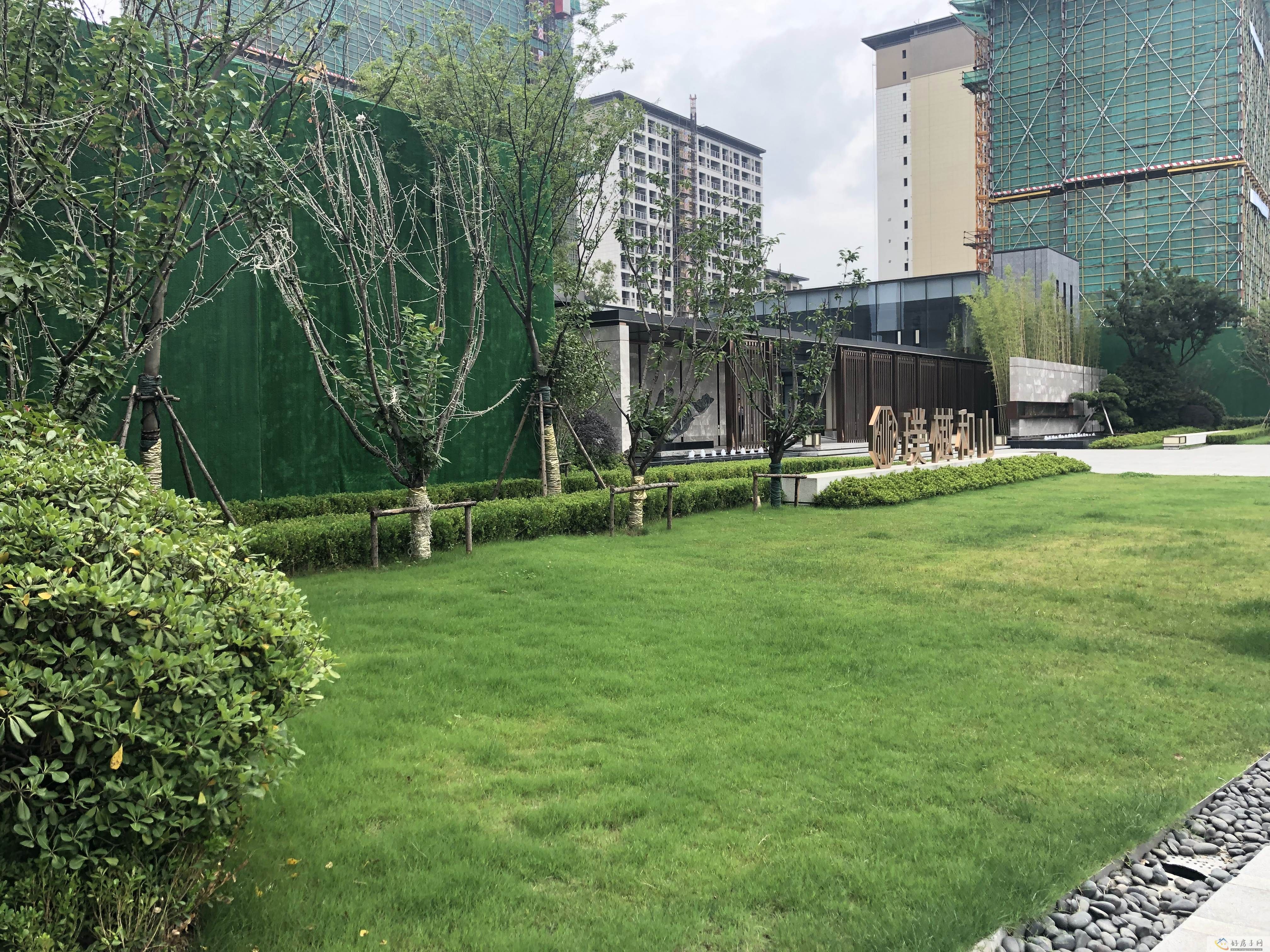 实景图