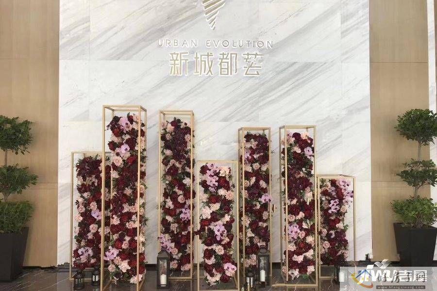 实景图