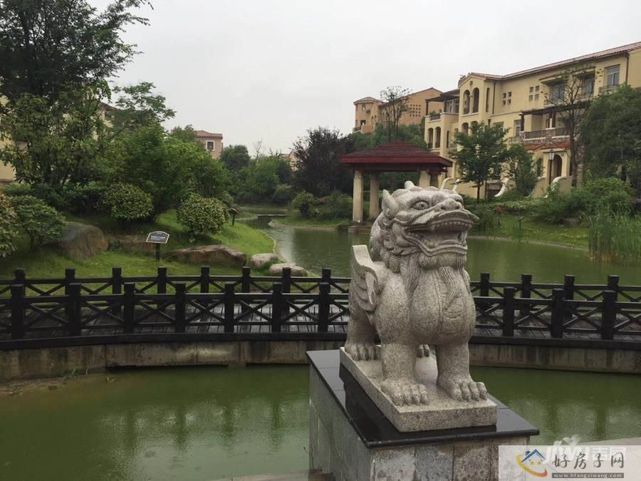 实景图