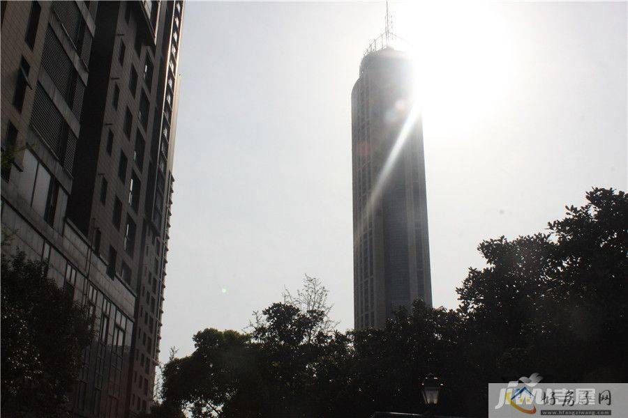 实景图