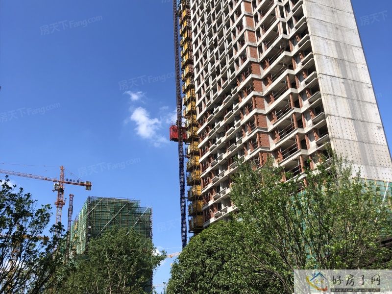 实景图