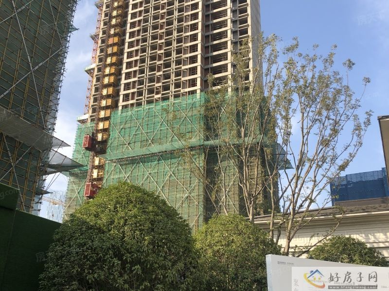 实景图