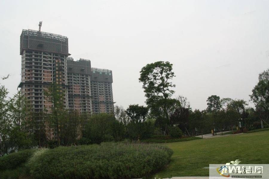 实景图