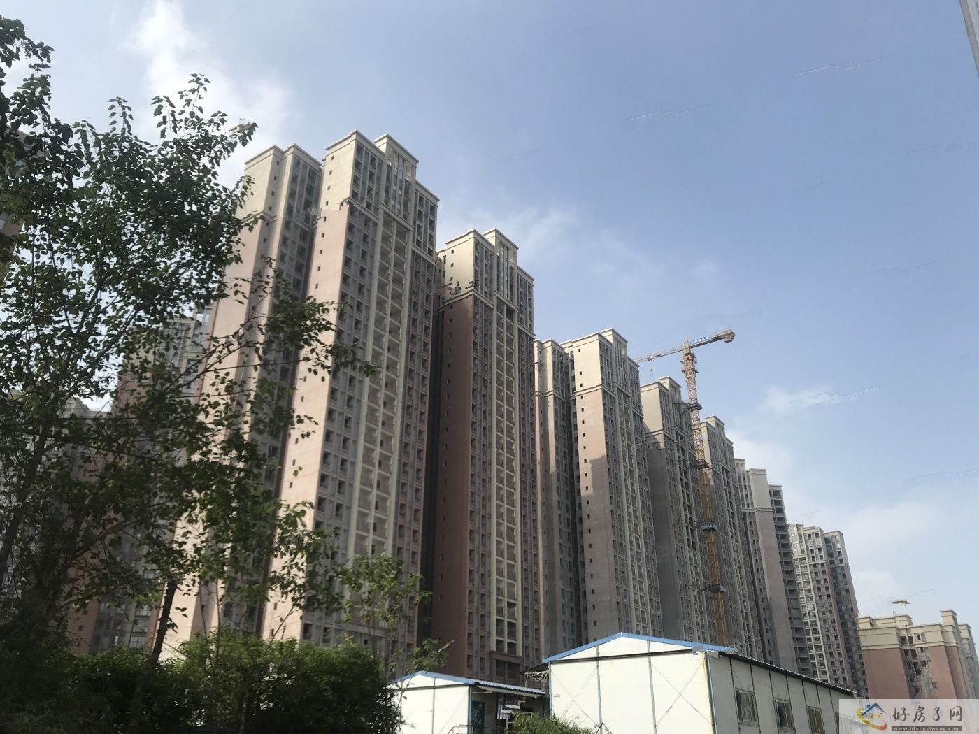 实景图