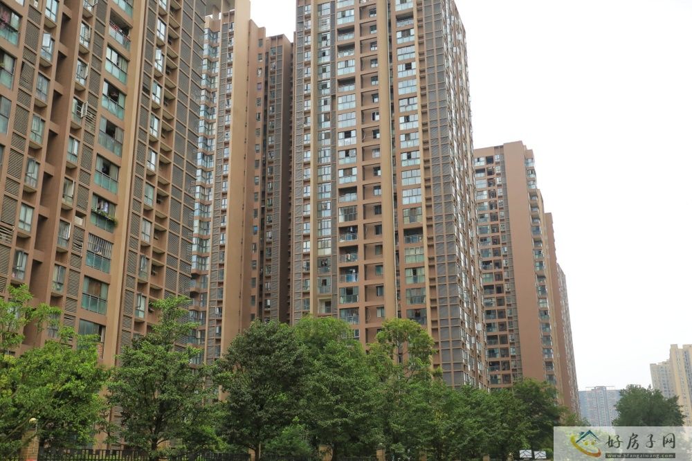 实景图