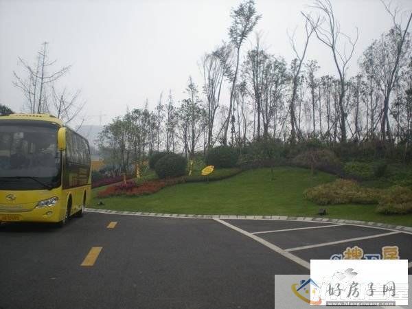 实景图