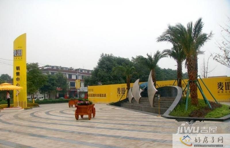 实景图