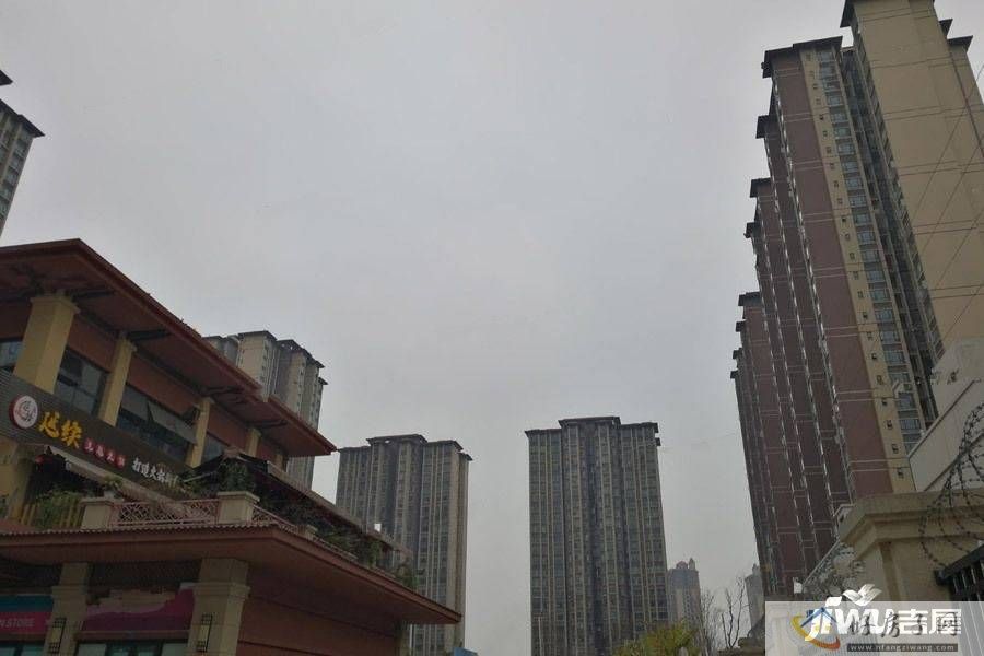 实景图