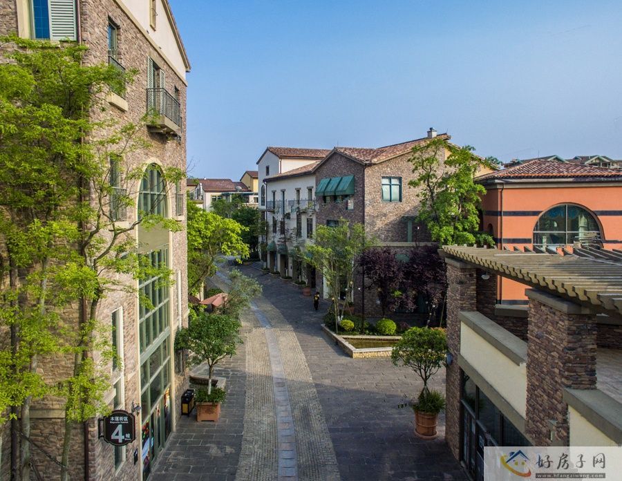 实景图