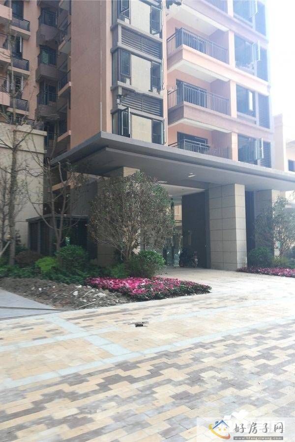 实景图