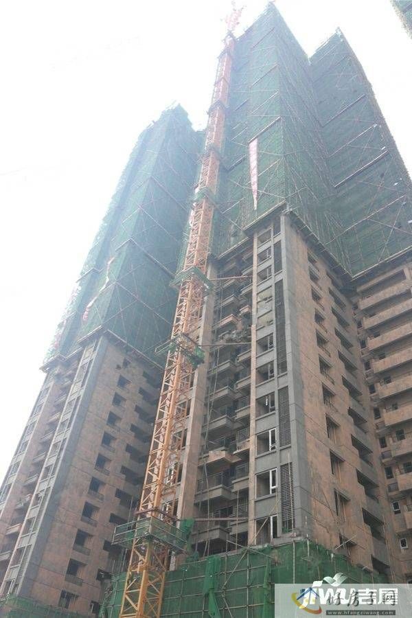 实景图