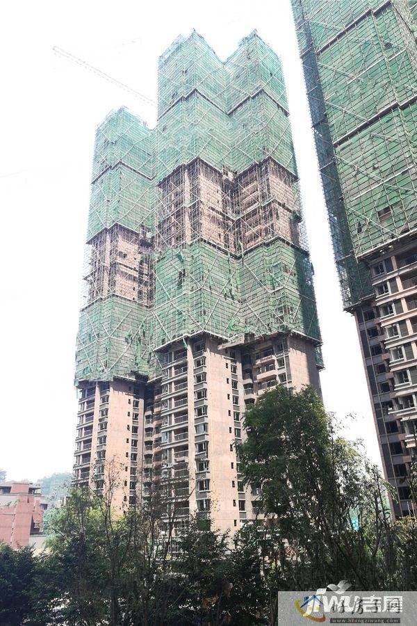 实景图