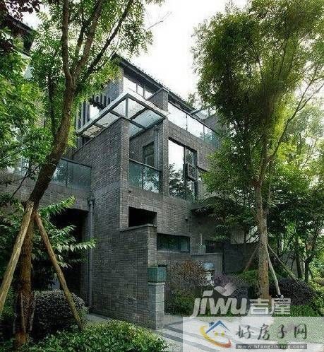 实景图