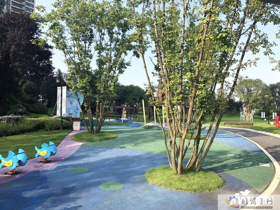 实景图