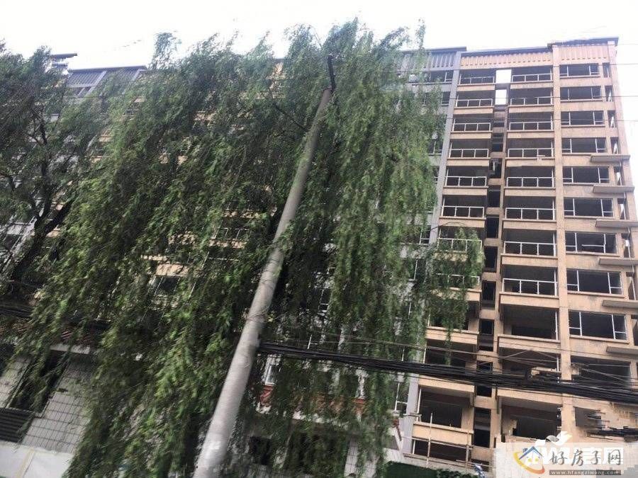 实景图