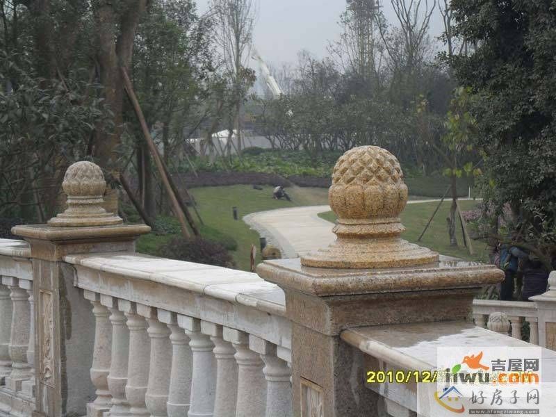 实景图