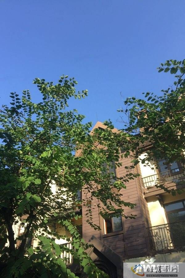 实景图