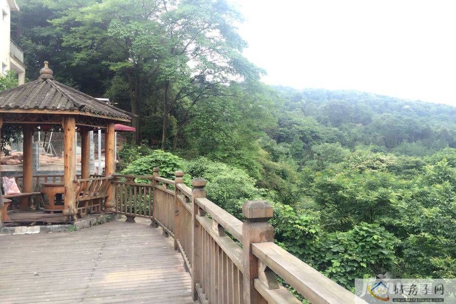 实景图