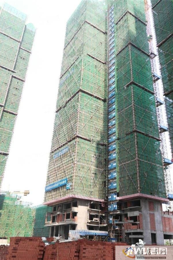 实景图