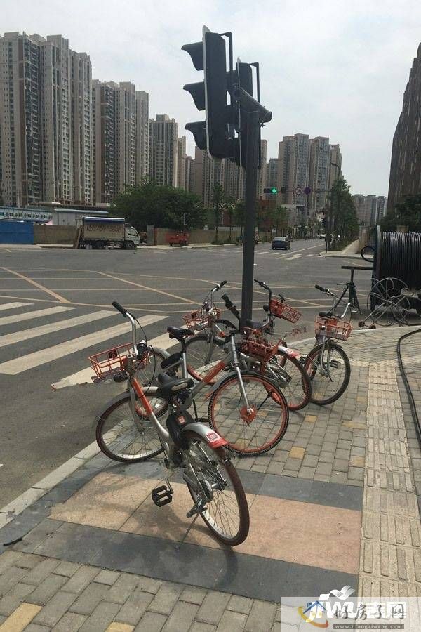位置交通图