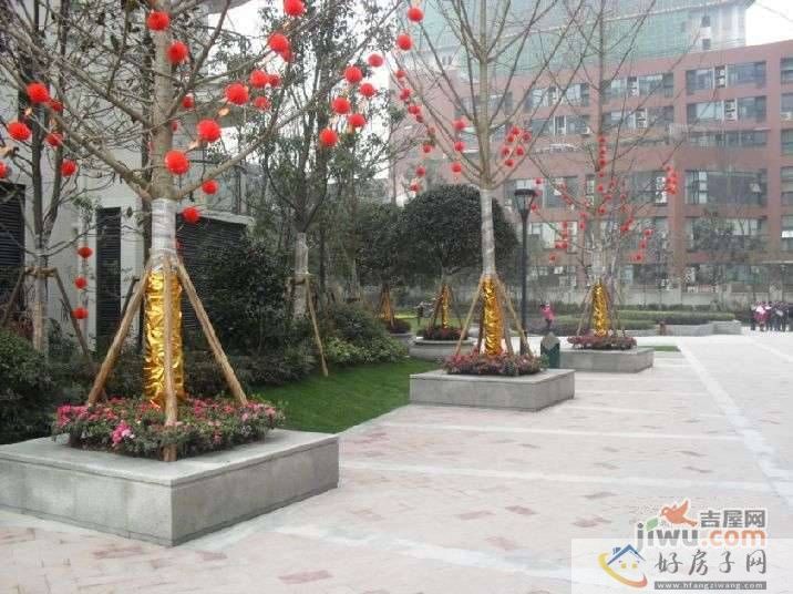 实景图