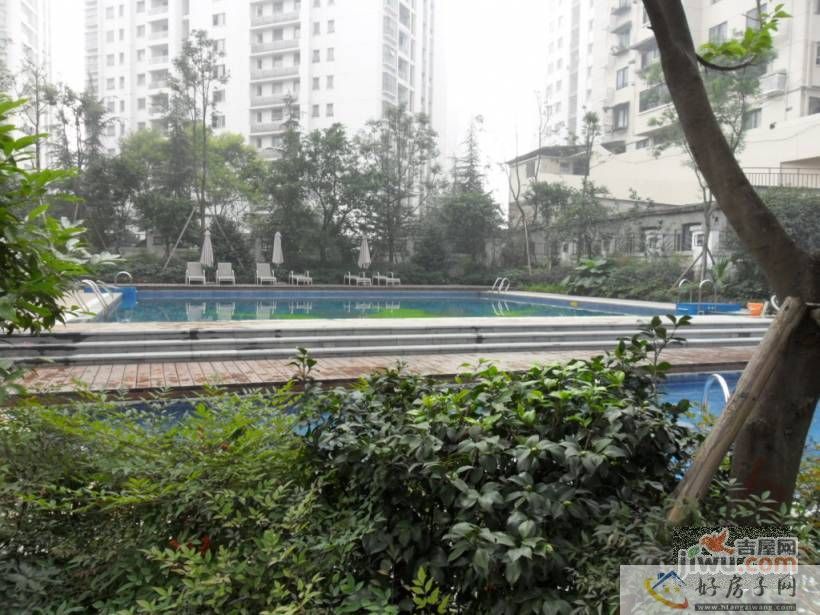 实景图