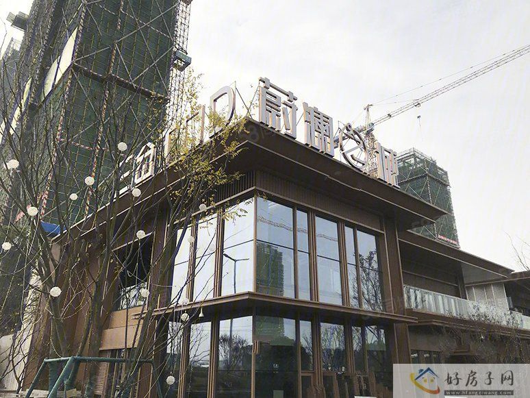 实景图