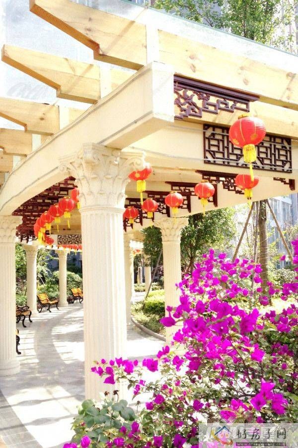 实景图