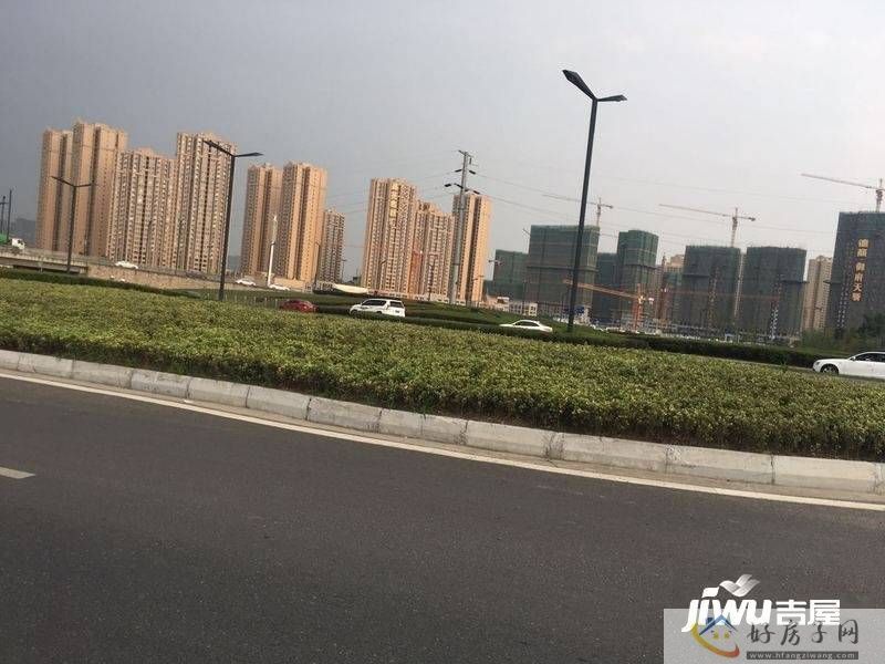 实景图