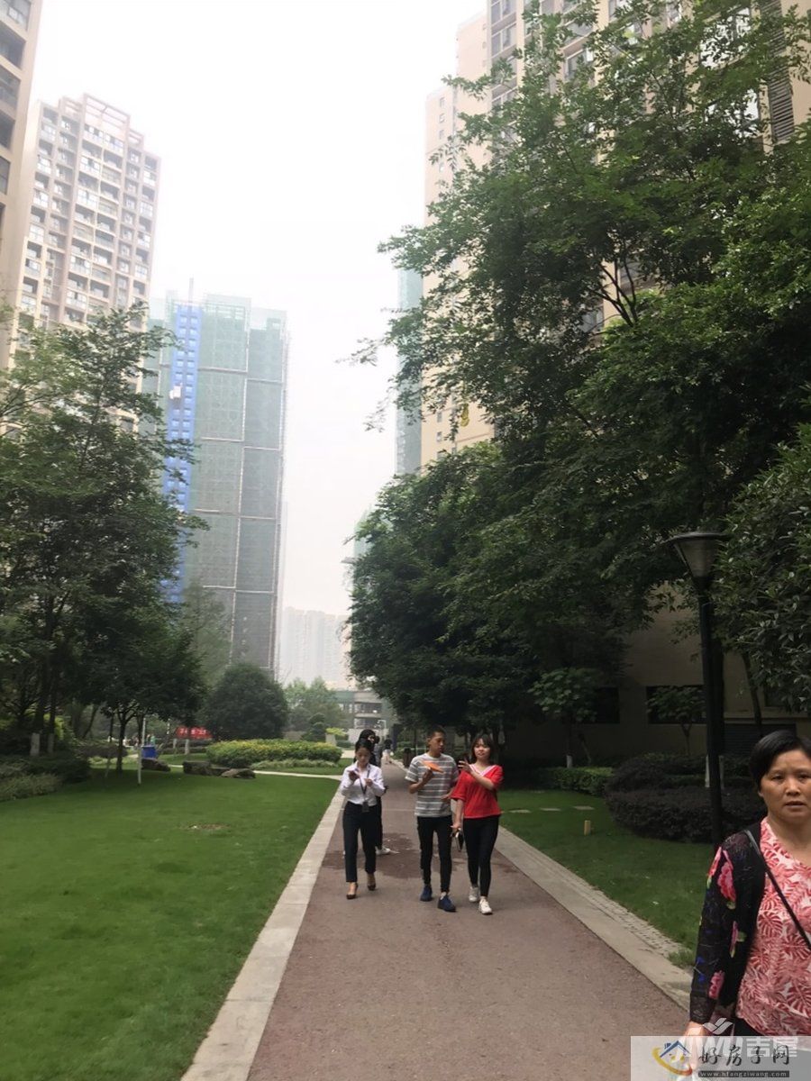 实景图