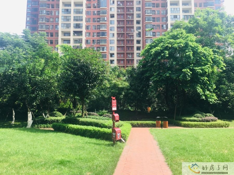 实景图