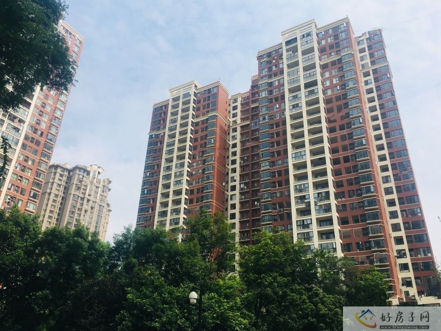 实景图