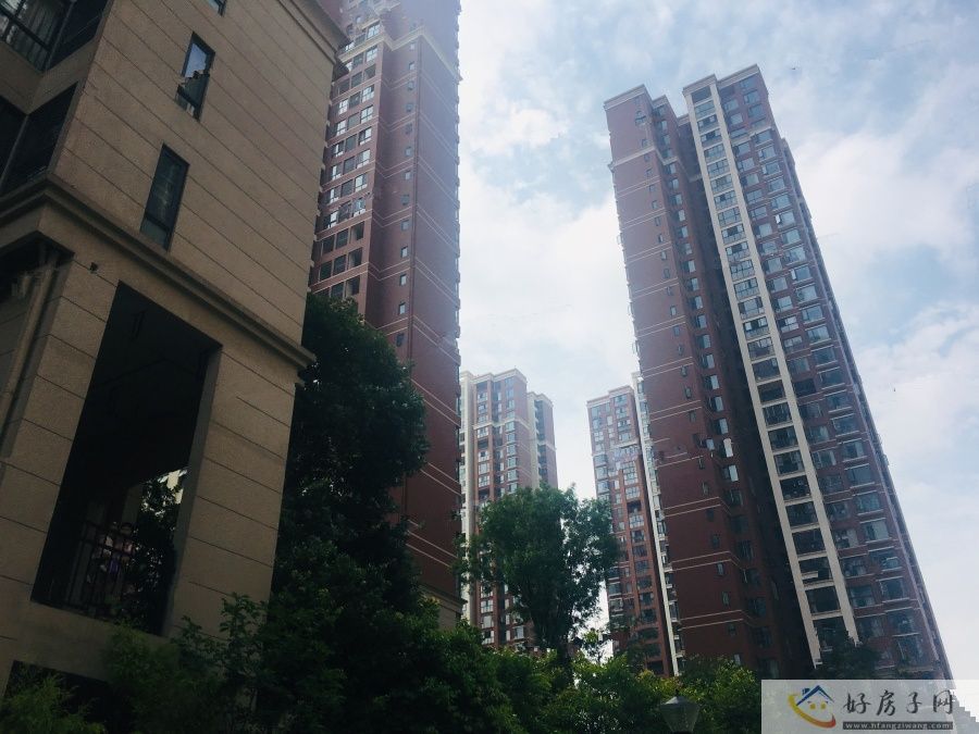 实景图
