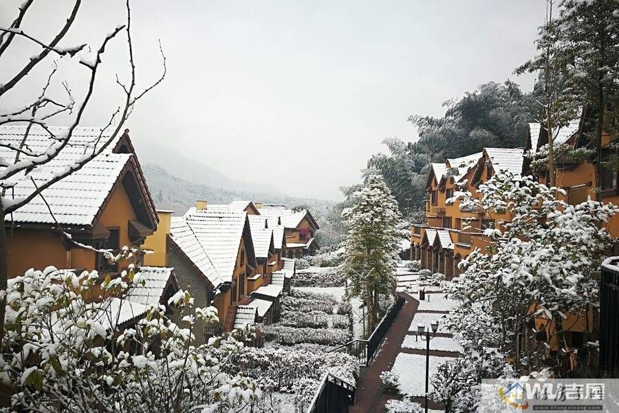 实景图