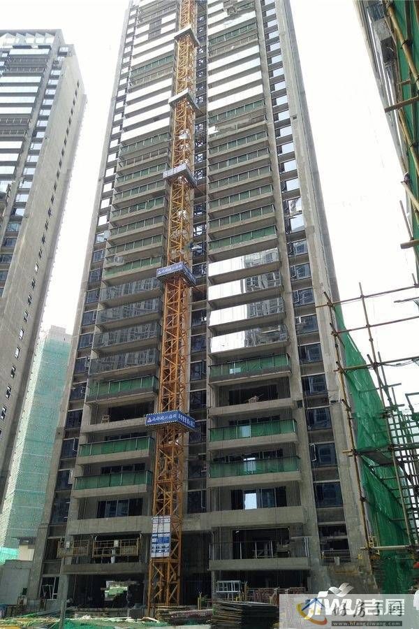 实景图