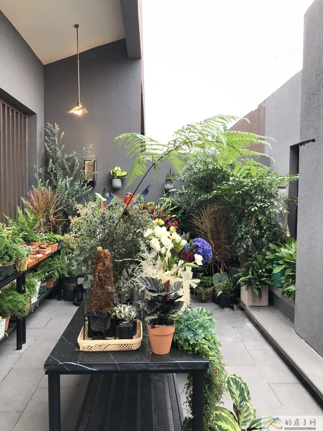 样板间
