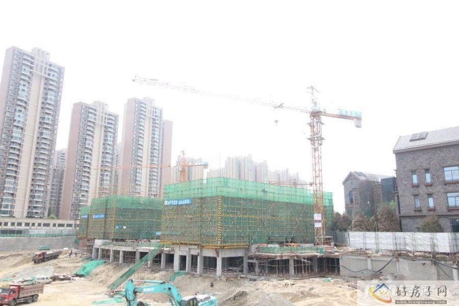 实景图