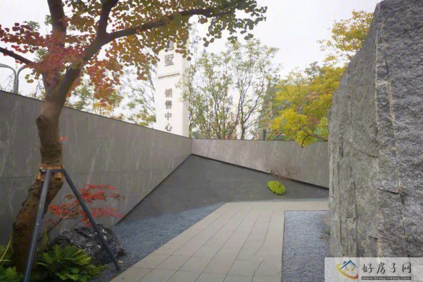 实景图