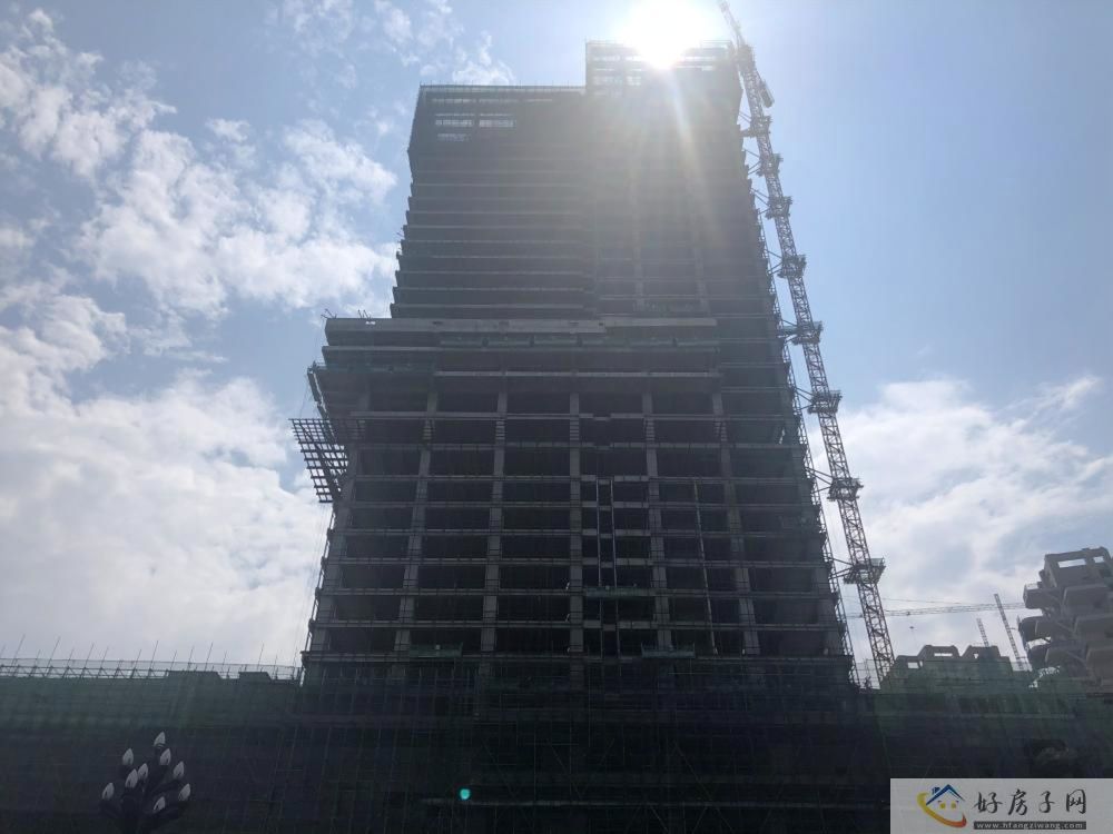 实景图